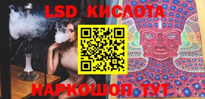 тгк Кингисепп