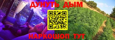 прущие крисы Кимры