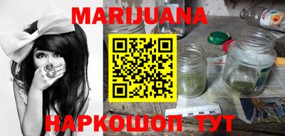тгк Кингисепп
