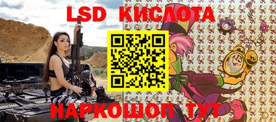 тгк Кингисепп
