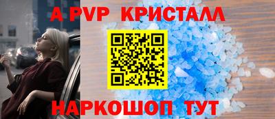 тгк Кингисепп